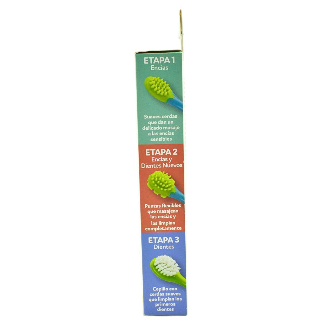 Set Cepillos de Dientes para Bebés 3 Piezas